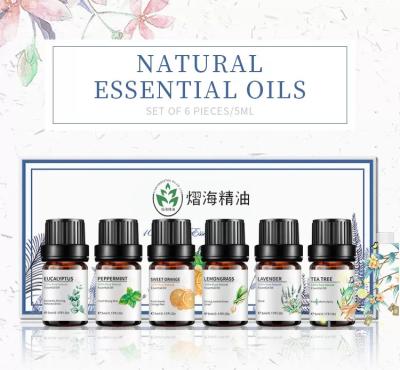 China 100% Pure Natural OEM Essential Oil Organic Geranium Essential Oil 10ml for sale