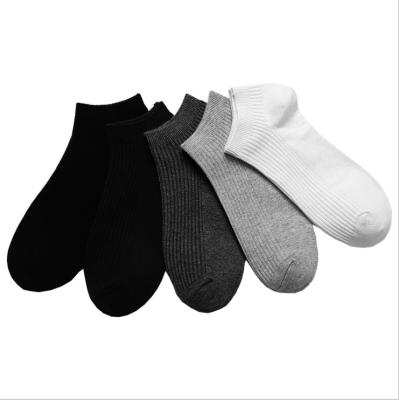 China Unisex Non Slip Low Cut Ankle Socks Spandex/Polyester/Cotton Classic Casual Hosiery for sale