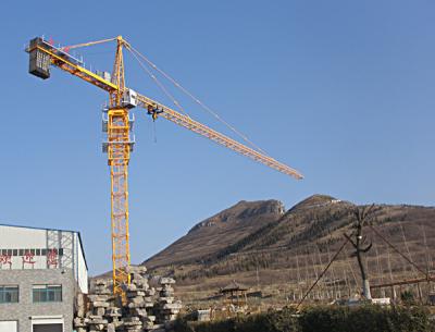 China New type QTZ50 TC5008B 4t load tower crane with 1.615x2.5m mast section for sale