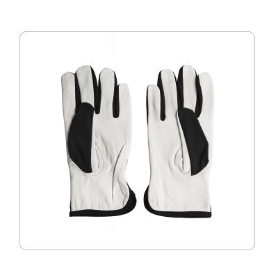 China Polyester Back No Lining Sheepskin Leather Gloves for sale