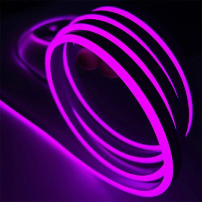 China 3 Years Warranty Flexible Silicone Neon Strip Light 12V Input, 10mm Cutting Unit for sale