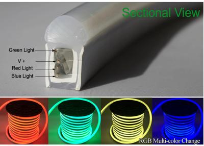 China Garden RGB LED Neon Flex Super Bright LED Light Source 50cm Cut Length for sale