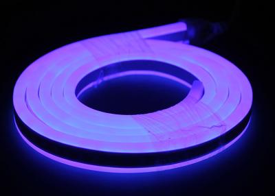 China Double Sides Lighting LED Neon Flex Rope Light 12V Input LED Neon Rope Light waterproof Blue light for sale