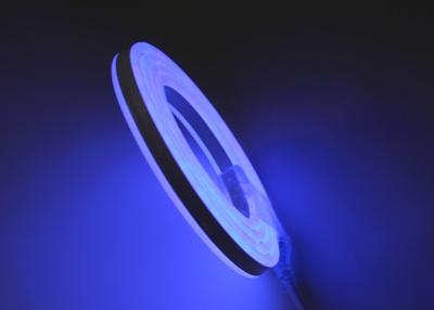 China O dobro tomou partido luzes de néon decorativas da corda, luz conduzida flexível azul da corda 110V à venda
