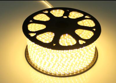 China Warm White High Voltage LED Strip For Holiday / Wedding AC 220V Input for sale