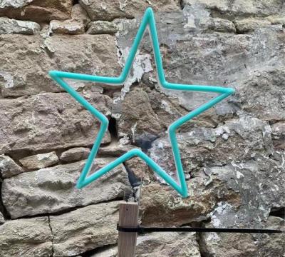 Китай Неоновая вывеска звезды для неоновой вывески изготовленного на заказ размера рождества водоустойчивой на открытом воздухе продается