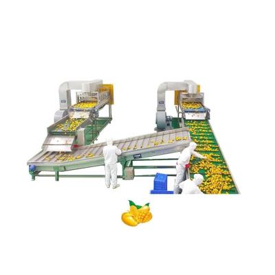 China Automatic Mango Processing Line Juice Machine Industrial Commercial for sale