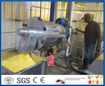 China Fruit Juice Double Stage 10TPH Mango Processing Line for sale
