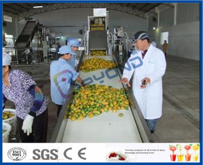 China Complete Turn key Project Mango Fruit Juice Processing Line High Engery Saving for sale