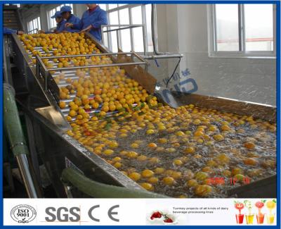 China Energy Saving Orange Processing Line with Glass / PET Bottle Filling Machine for sale
