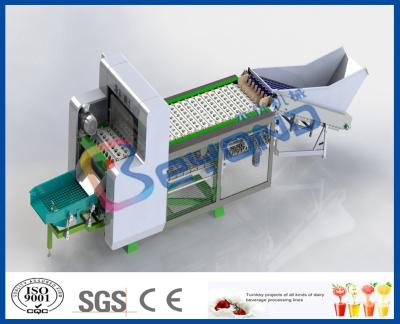 China Fruit Destoner Fruit Processing Equipment For Juice Manufacturing Plant for sale