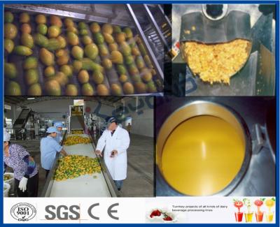 China Mango Pulp Processing Machinery Mango Processing Line With Aseptic Package Machine for sale