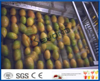 China Fábrica de tratamento da polpa do fruto da fábrica do suco da manga, equipamento de processamento da manga à venda