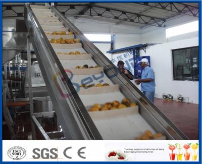 Chine 2TPH | chaîne de fabrication de mangue de 20TPH SUS304 avec 2kg met en boîte la machine de remplissage à vendre