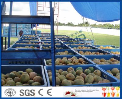 China Fresh Pineapple / Mango Juice Processing Plant With Can Packaging Machine for sale