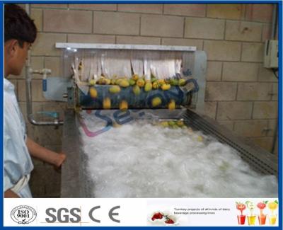 China Linha de processamento da manga do abacaxi, fábrica de tratamento da polpa da manga do suco de fruto à venda