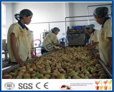 Cina Linea di produzione del succo di frutta della pesca/albicocca/prugna macchinario di lavorazione della frutta in vendita