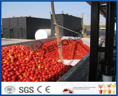 China Tomato Sauce Making Machine Tomato Paste Production Line With Hot / Cold Break System for sale