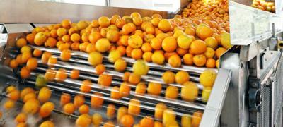 China CE industrial do ISO da máquina do suco de laranja da produção do suco de laranja da economia de Engery à venda
