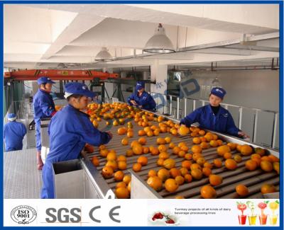 China Equipo de proceso del zumo de fruta con la máquina de la fruta cítrica/del extractor de las mandarinas/del zumo de naranja en venta