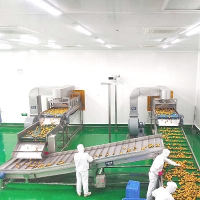 Chine Mango juice processing line mango juice processing plant cost à vendre