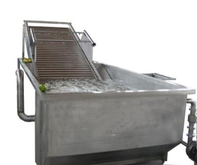 China Full Automatic Fruit Processing Equipment Surfing Bubble Washing Machine for sale