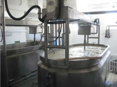 China Automatic CIP Clean Dairy Processing Plant 200kg/H Cheese Processing Line for sale