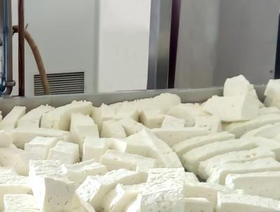 中国 低温殺菌されたUS316 500Lの酪農場のチーズ作成装置 販売のため