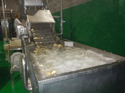China Deslocamento de Stepless da máquina de lavar do vegetal de fruto de SUS304 10TPH à venda