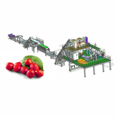 China Automatic Jujube Processing Line 50T/H  Extraction And Beating for sale