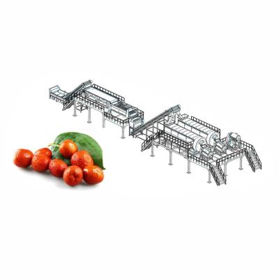 China 50T/H Jujube Hawthorn Processing Line Food Application for sale
