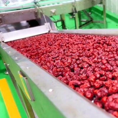 Chine Chaîne de fabrication chinoise de jus de fruit de date, installation de transformation de pulpe du fruit ISO9001 à vendre