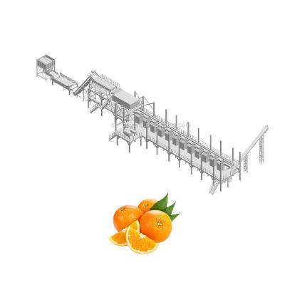 China 10TPH Automatic Orange Juice Extract Orange Processing Line For Juice Making Factory for sale