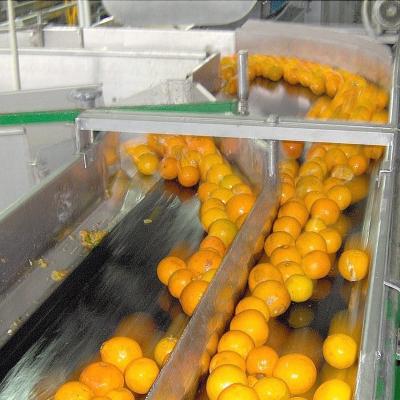 China Citrino/linha de processamento alaranjada para a maquinaria da fábrica do suco da fábrica do suco de fruto à venda