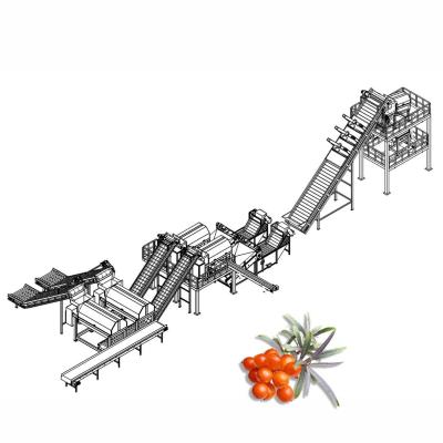 China 20TPD Sea Buckthorn Processing Fruit Juice Production Line for sale