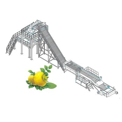 China 72Brix Concentrate Prickly Fruit Processing Line For Fruit Vegetable for sale