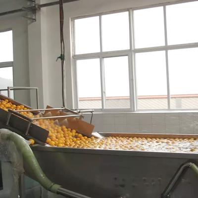 Chine SUS304 chaîne de fabrication orange industrielle machine à laver 6KW de bulle de fruit à vendre