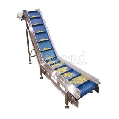 China Industrial Fruit Processing Equipment Automatic Fruit Washing conveyor for sale