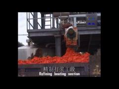 2PTH-40TPH Tomato Paste processing line Tomato concentrate juice turnkey project