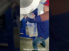 Mango Stone Washer&Pulping machine
