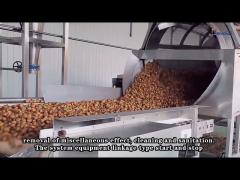 Hammer Type Fruit Crushing Machine , Industrial Fruit Presses And Crushers