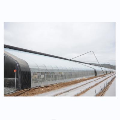 China Boost Winter Crop Growth Single Span Agricultural Greenhouses Height 3.5-5M for sale