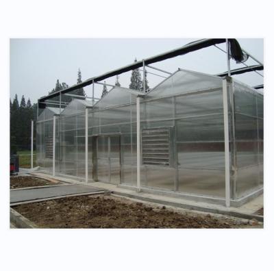 China 8m 9.6m 12m Span Width Agriculture Greenhouse For Hybrid Tomato Seeds And Vegetables for sale