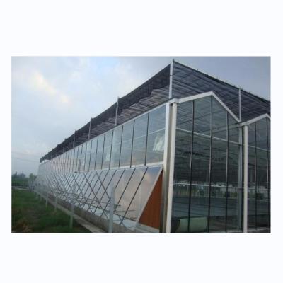 China Hot Galvanized Steel Frame Structure Venlo Glass Greenhouses for Vegetable Agriculture for sale