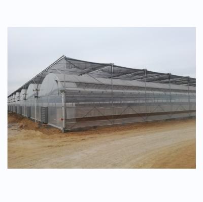 Китай 4.0-8.0M Высота Сельское хозяйство Многоразовый пластиковый пленка теплицы для томатов проект под ключ продается