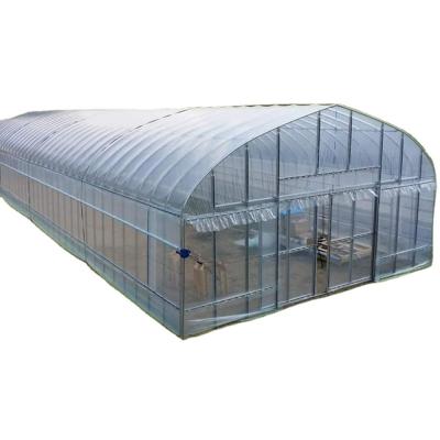 China 2.5-5M Height Tomato Hydroponic High Tunnel Agriculture Greenhouse with Film Cover for sale