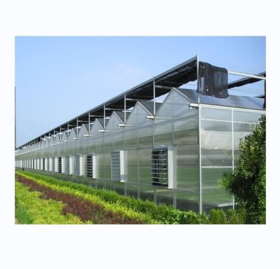 China Sturdy And Large Greenhouse Agriculture Polycarbonate With Galvanized Steel Frame for sale