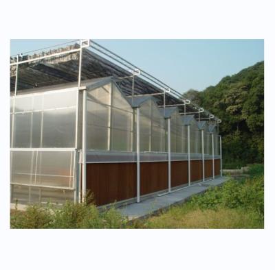 China Commercial Agricultural Greenhouse with Hydroponic System and 8mm PC Sheet Covering for sale