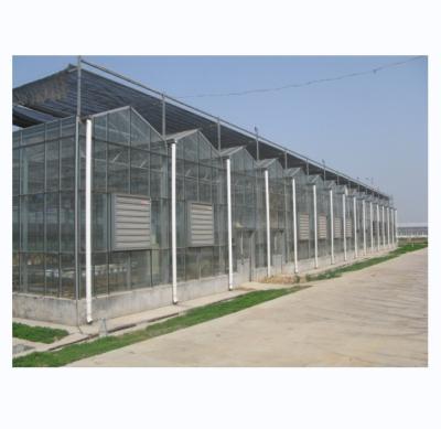 China Large Agricultural Greenhouse with Galvanized Steel Frame and Optional Cooling System for sale