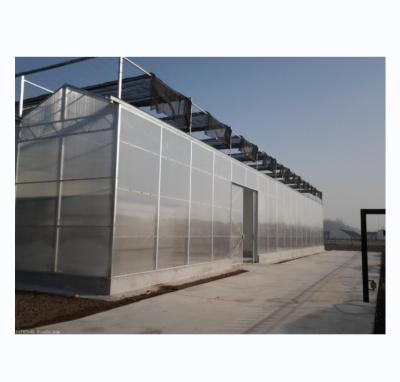 China Strong Resistance Multi Span Venlo PC Sheet Greenhouse Arch Polycarbonate Greenhouse for sale